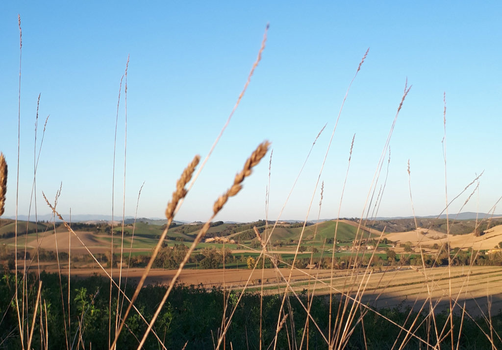 Tour on the white roads of Tuscany